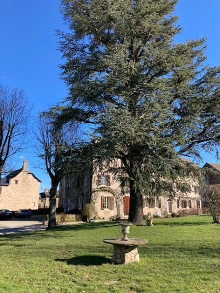 Le Clos D'Albray - Chambres D'Hotes Et Gite Comps-la-Grand-Ville ภายนอก รูปภาพ