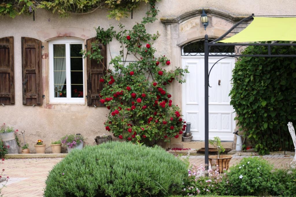 Le Clos D'Albray - Chambres D'Hotes Et Gite Comps-la-Grand-Ville ภายนอก รูปภาพ